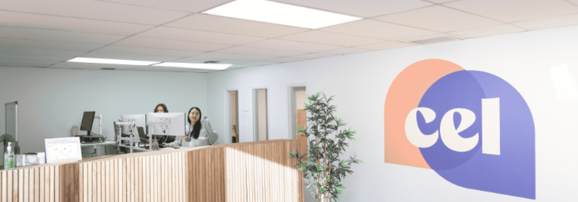 EC English Dil Okulu